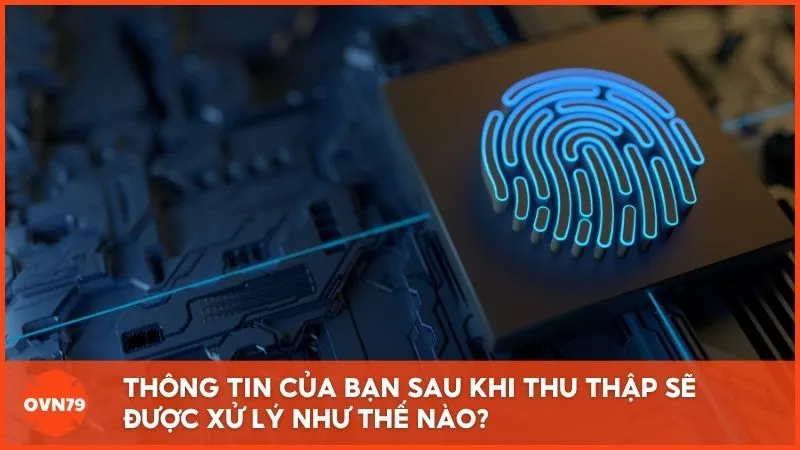 Thông tin của bạn sau khi thu thập sẽ được xử lý như thế nào?