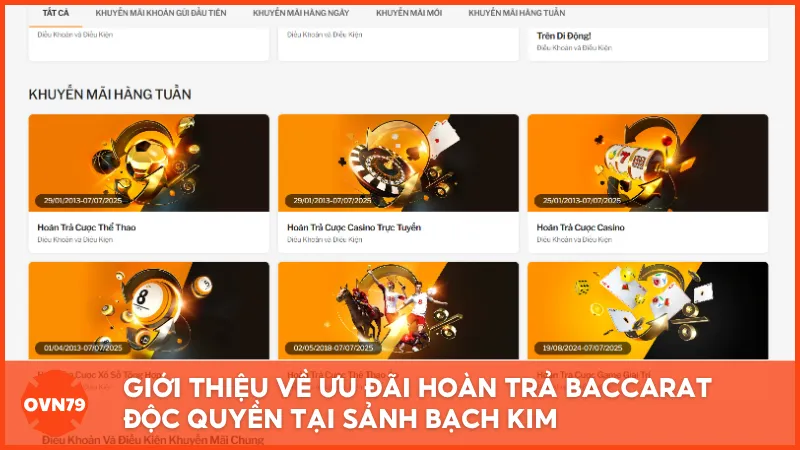 Giới thiệu về ưu đãi hoàn trả Baccarat độc quyền tại sảnh Bạch Kim