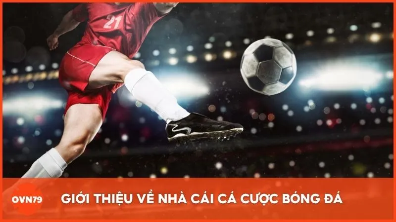 Giới thiệu về nhà cái cá cược bóng đá là gì?