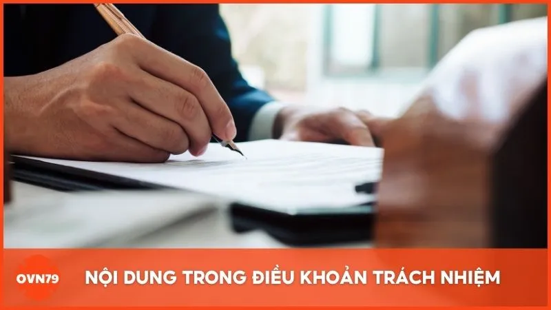 Nội dung chính cần nắm rõ trong điều khoản trách nhiệm