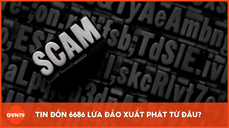 Tin đồn 6686 lừa đảo xuất phát từ đâu?