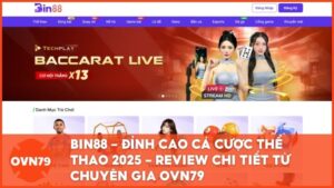 BIN88 - Đỉnh Cao Cá Cược Thể Thao 2025 – Review Chi Tiết Từ Chuyên Gia OVN79