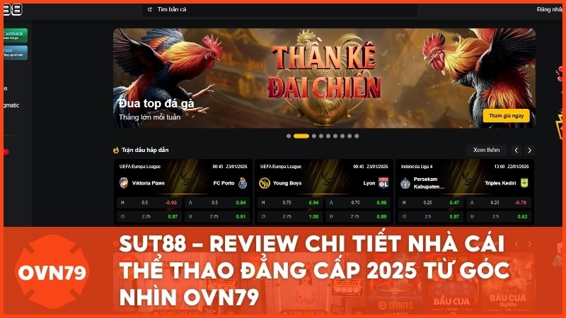 ovn79 review sut88 - SUT88 – Review Chi Tiết Nhà Cái Thể Thao Đẳng Cấp 2025 Từ Góc Nhìn OVN79