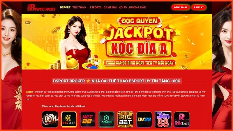 bsport.broker - BSPORTBROKER